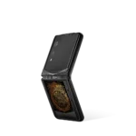 Quantum Flip Bagua Gilded Lacquer